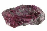 Vibrant, Magenta Erythrite Crystals - Morocco #93605-2
